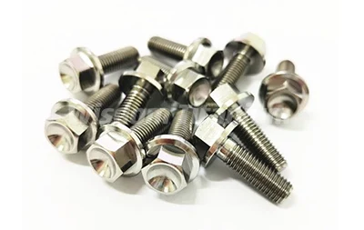 Titanium Hex Flange Bolt